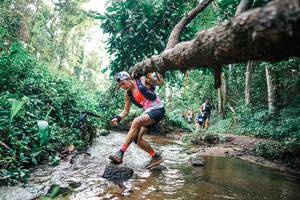 BIB: 
                            <button type="button" onclick="openModal(25369226)" class="btn btn-primary btn-sm float-right btn-popup" data-toggle="modal" data-target=".modal-high-quality">
                        <i class="fas fa-shopping-cart"></i> Add to Cart
                    </button>
                                            <button type="button" onclick="isThisMe(25369226, true)" class="btn btn-success btn-sm float-right btn-popup btn-isme hidden" data-toggle="tooltip" data-placement="bottom" title="นี่คือรูปของคุณใช่ไหม คลิกที่นี่เพื่อเอาเข้าอัลบั้ม">
                        <i class="fas fa-plus"></i> Add to album
                    </button>
                    <button type="button" onclick="isThisMe(25369226, false)" class="btn btn-warning btn-sm float-right btn-popup btn-isnotme hidden">
                        <i class="fas fa-ban"></i> Remove from album
                    </button>